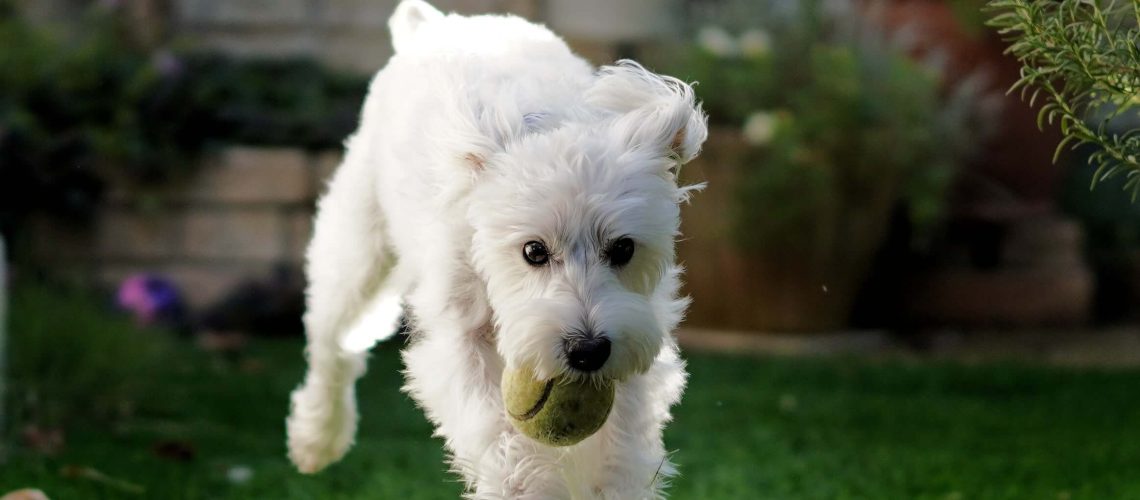 hiro-takashima-2Pk86P-k3jw-unsplash